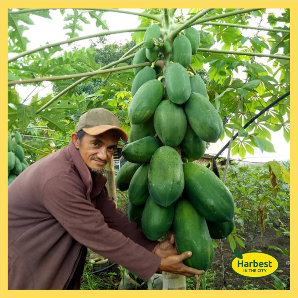 Ph 11134207 7rasb m8jydrq5io8j6a.jpeg