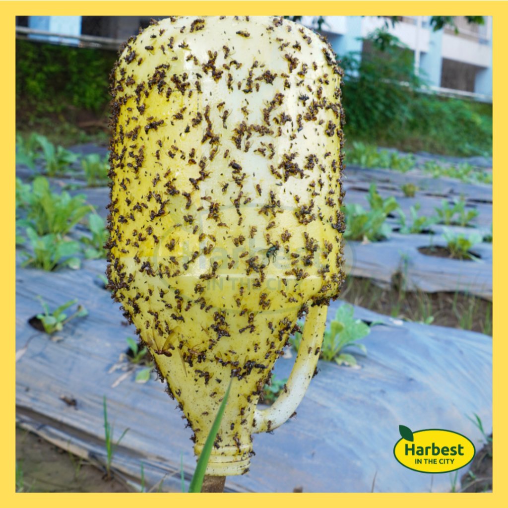 Ph 11134207 7rasb m8yhb0h0u1pvfd.jpeg