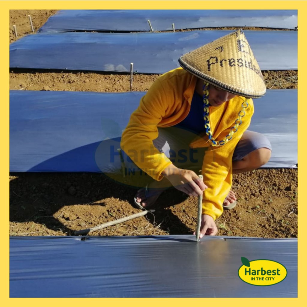 Ph 11134207 7rasb m8zurvuhln6m34.jpeg