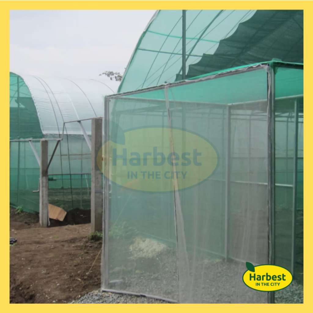 Ph 11134207 7rasb m8zwrubor159fc.jpeg