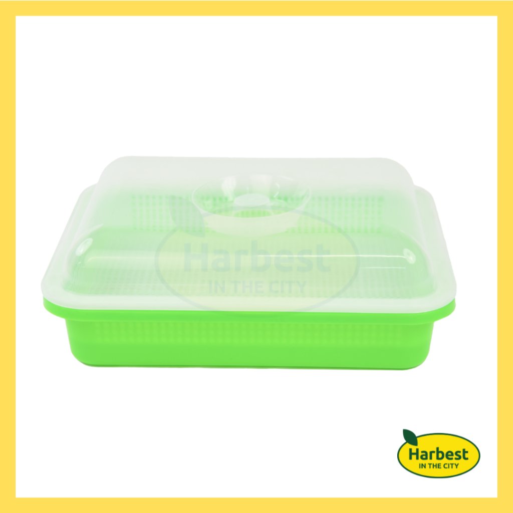 Ph 11134207 7rasb m9ti0r4h9x3835.jpeg