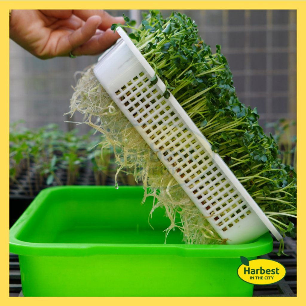 Ph 11134207 7rasb m9ti0r6z3gek96.jpeg