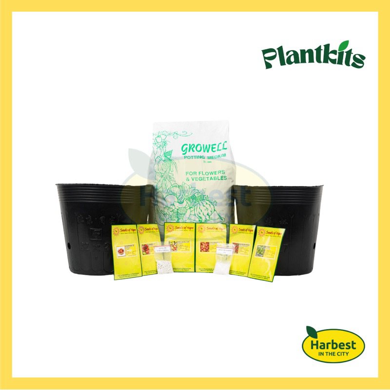 Ph 11134207 7rasc m3kdkk4pahhz9c.jpeg