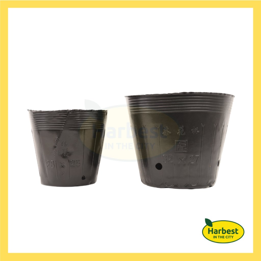 Ph 11134207 7rasc m3tzsxkx8yd6de.jpeg