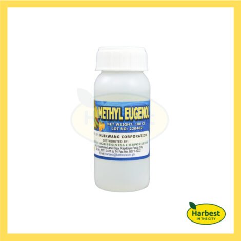 Ph 11134207 7rasc m4ibpvqxrbax84.jpeg