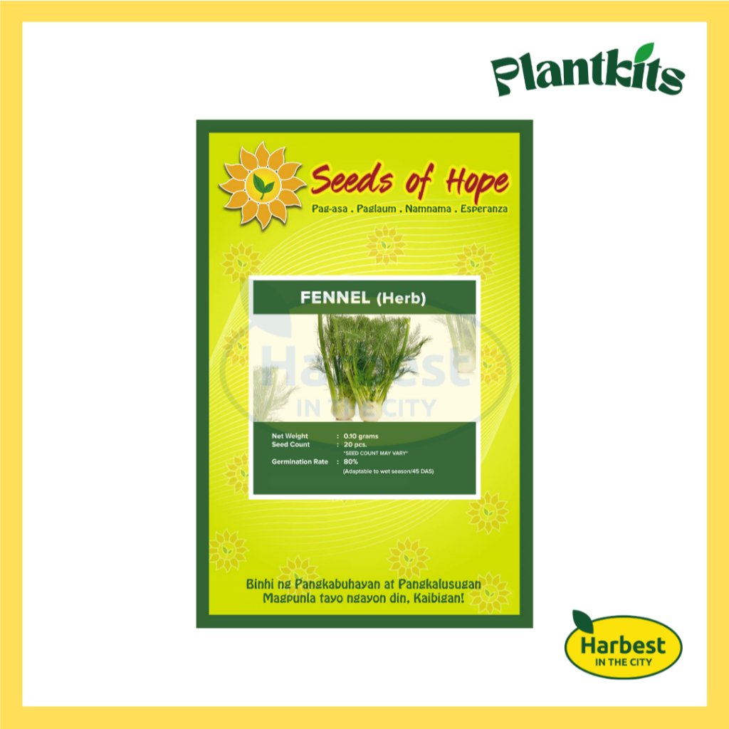 Ph 11134207 7rasc m4r6empclx4pff.jpeg