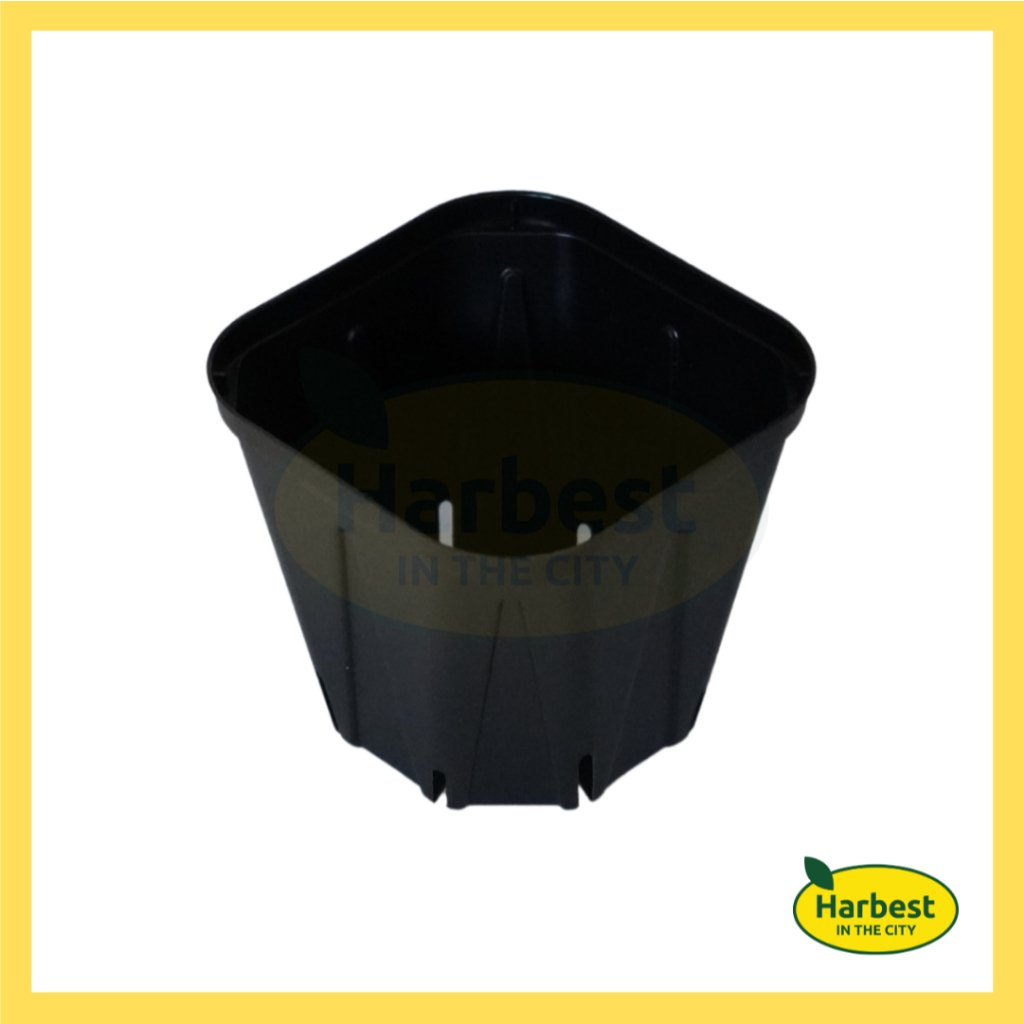 Ph 11134207 7rasc m6dql0c25el688.jpeg