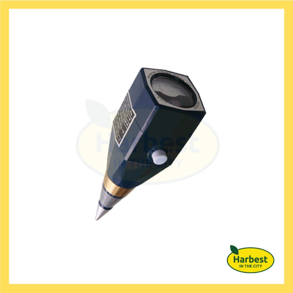 Ph 11134207 7rasc m71o9a5ppl3370.jpeg