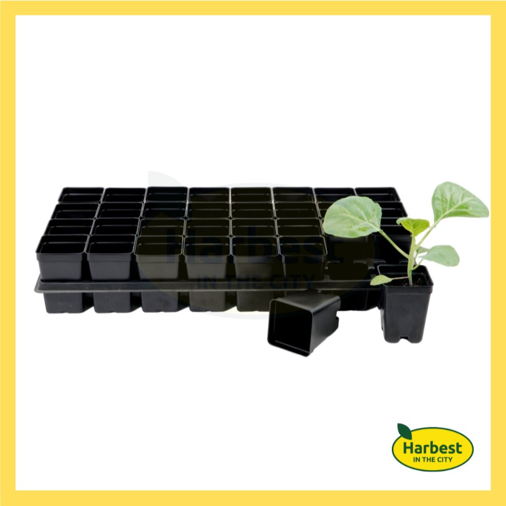 Ph 11134207 7rasc m8eaek99qgelf5.jpeg