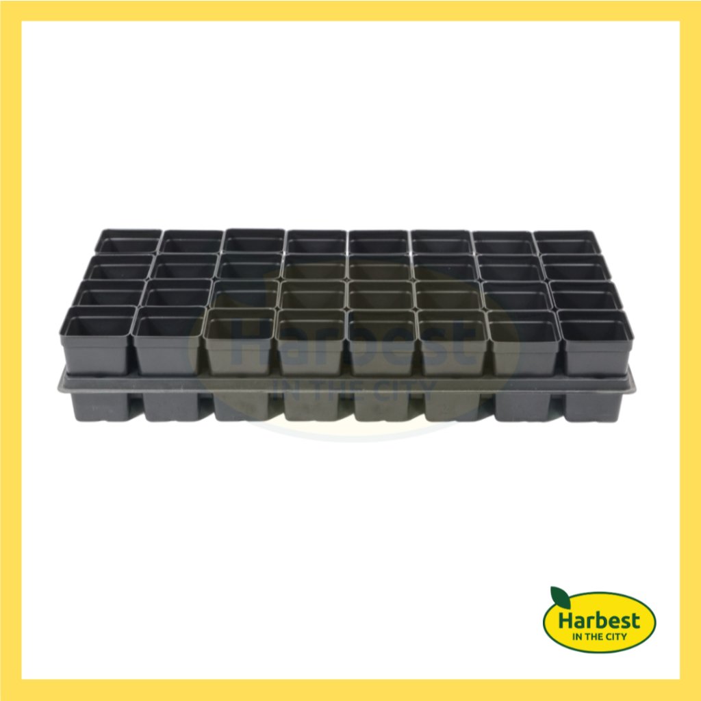 Ph 11134207 7rasc m8eaek99ruz1f3.jpeg