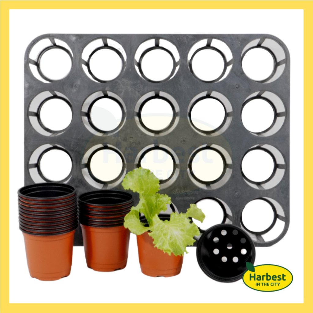 Ph 11134207 7rasc m8ee11u7e5cu74.jpeg