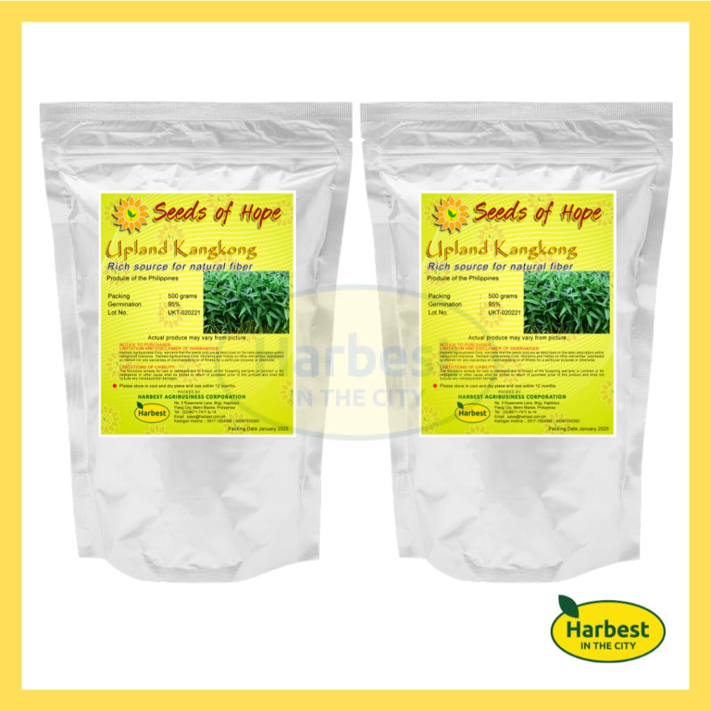 Ph 11134207 7rasc m8ztqdbhxndqd3.jpeg