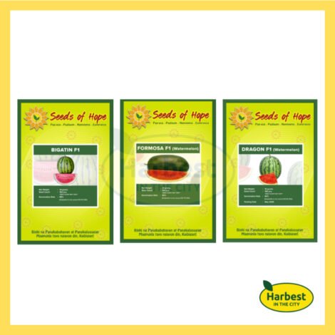 Ph 11134207 7rasc m9fea65uxspqac.jpeg