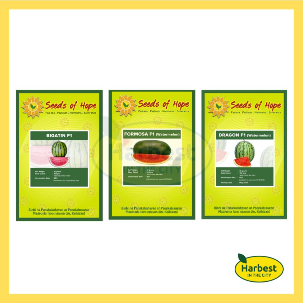 Ph 11134207 7rasc m9fea65uxspqac.jpeg