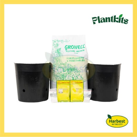 Ph 11134207 7rasd m3kf2optdr1r5b.jpeg