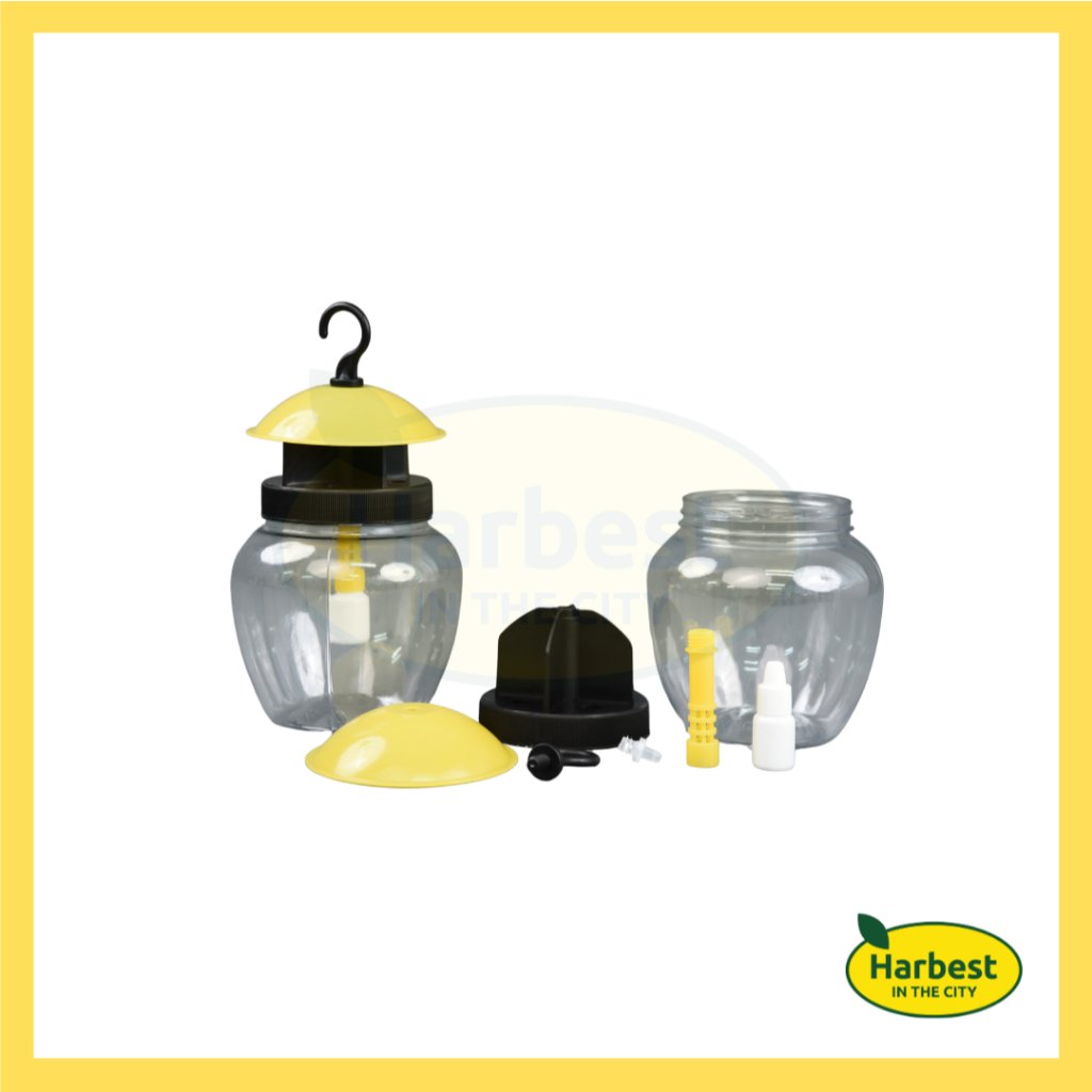 Ph 11134207 7rasd m4iiymqp13w9e8.jpeg