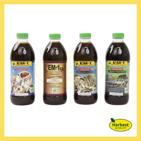 Ph 11134207 7rasd m4ik5kej51ba65.jpeg