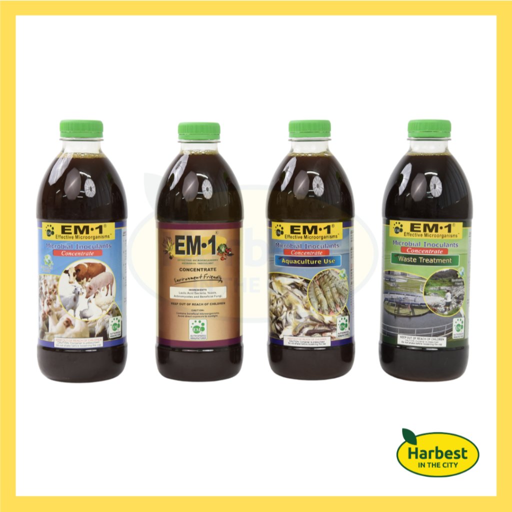 Ph 11134207 7rasd m4ik5kej51ba65.jpeg