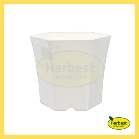 Ph 11134207 7rasd m4k4cphuqard19.jpeg