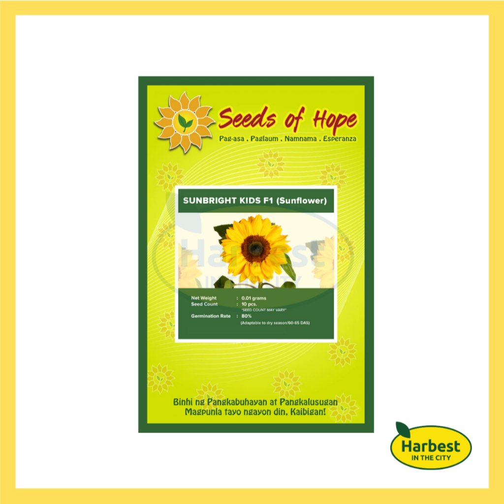 Ph 11134207 7rasd m4smbvlxl8hvd4.jpeg