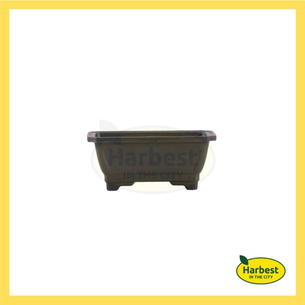 Ph 11134207 7rasd m53p0n3edu0z7e.jpeg