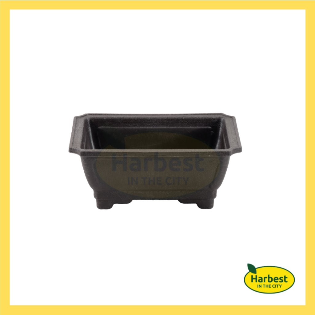 Ph 11134207 7rasd m53xzvk7tp220e.jpeg