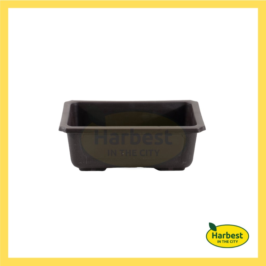 Ph 11134207 7rasd m53zb27g283y64.jpeg