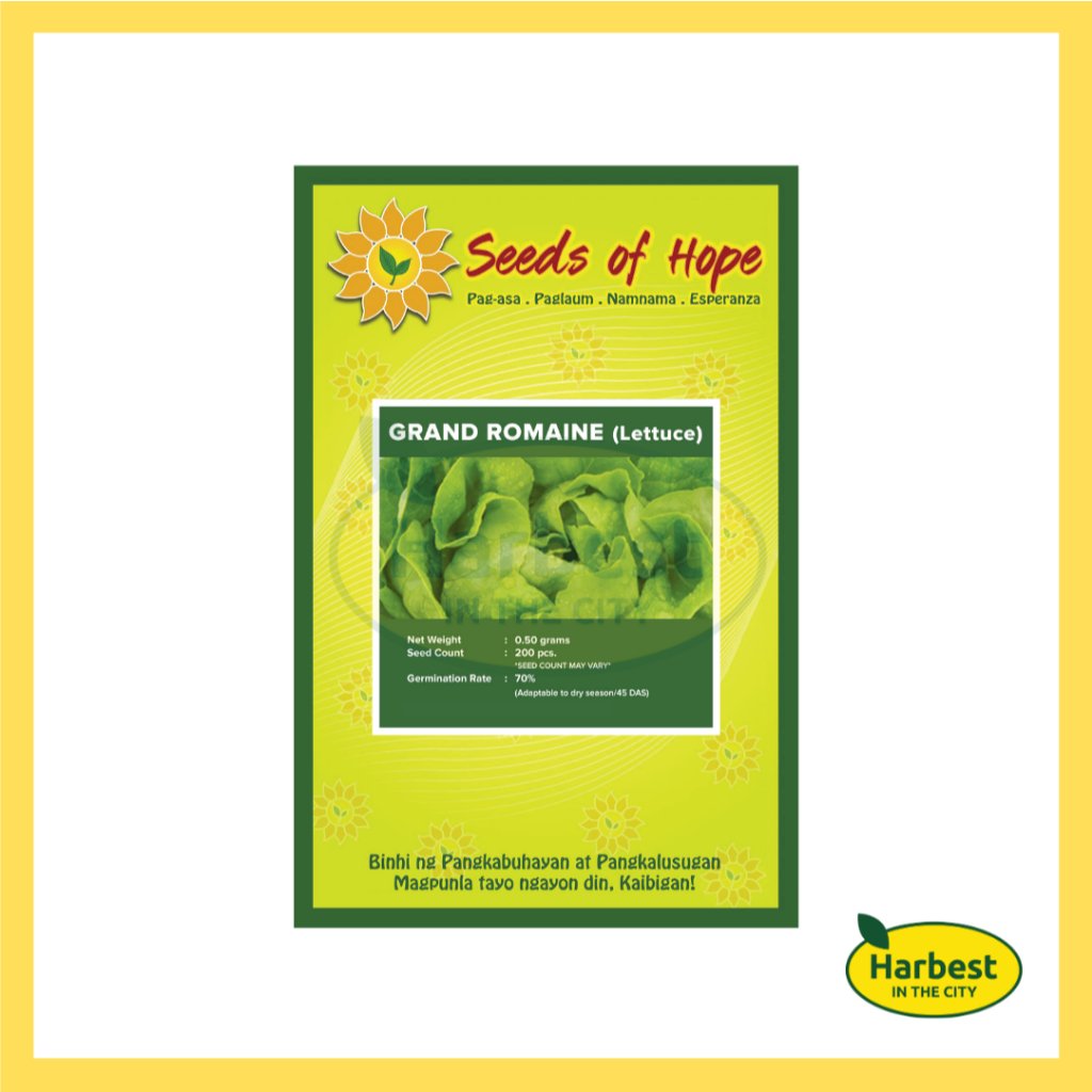 Ph 11134207 7rasd m545a5at0tj657.jpeg