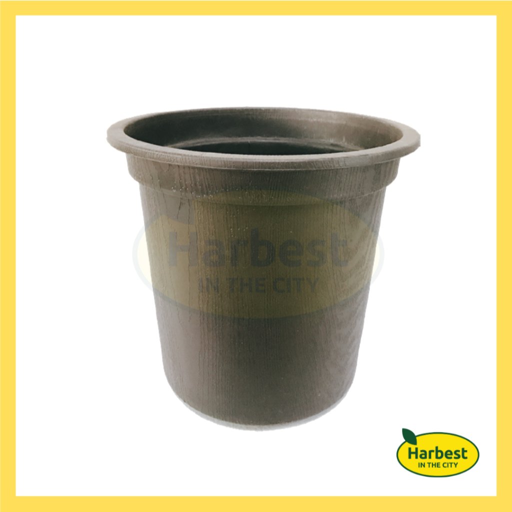 Ph 11134207 7rasd m5axs0u9pije61.jpeg