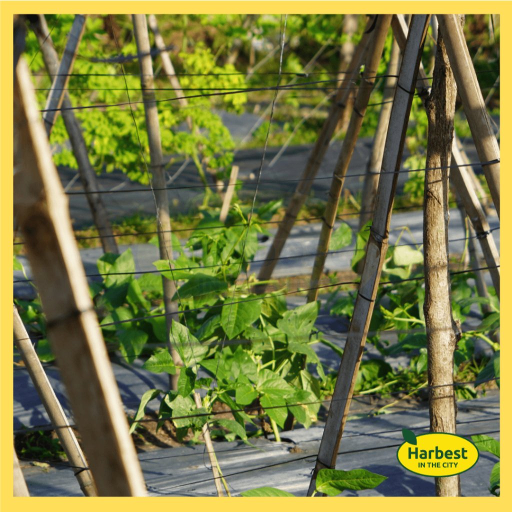 Ph 11134207 7rasd m5b52rc2cgpaf7.jpeg