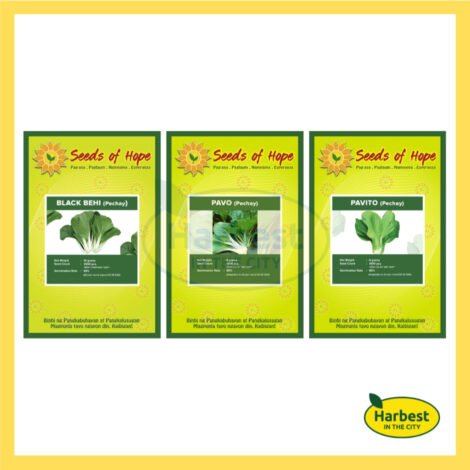 Ph 11134207 7rasd m6g74ubpvggbfd.jpeg