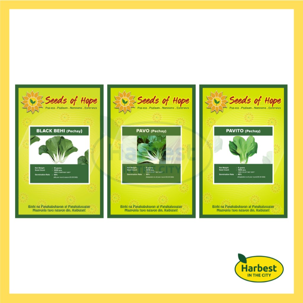 Ph 11134207 7rasd m6g74ubpvggbfd.jpeg