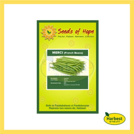 Ph 11134207 7rasd m6p6ghgiemkt55.jpeg