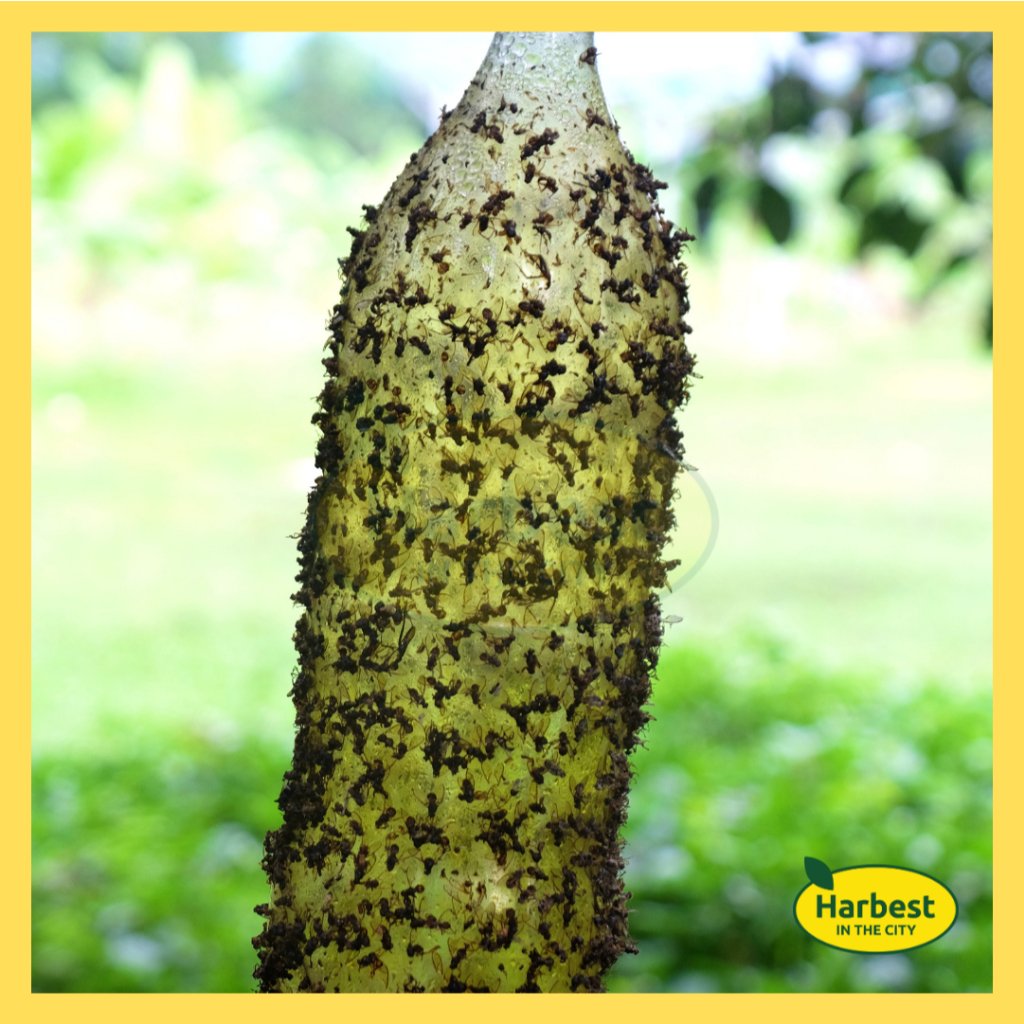 Ph 11134207 7rasd m8yhb0h0u1y93e.jpeg