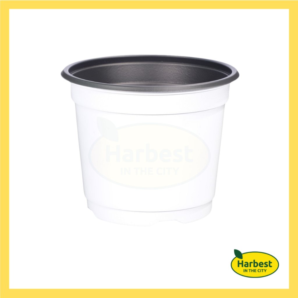 Ph 11134207 7rasd m8ykl6543qtp07.jpeg