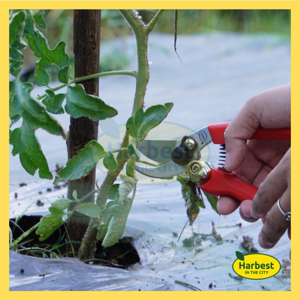 Ph 11134207 7rasd m9fdue3c7aldb4.jpeg