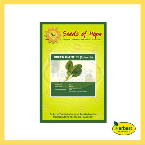 Ph 11134207 7rase m3lfckyqq7j3c6.jpeg