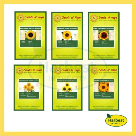 Ph 11134207 7rase m3lfckyr01i730.jpeg