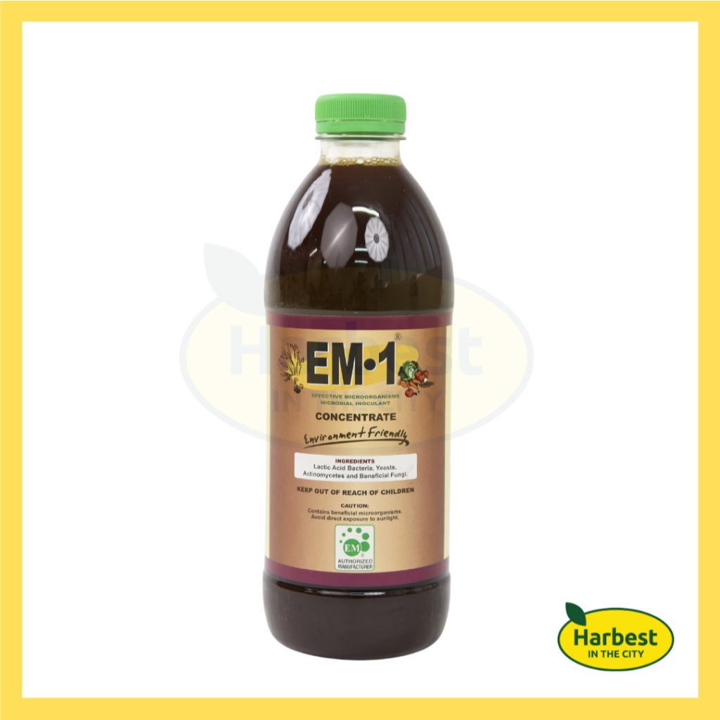 Ph 11134207 7rase m4ik6yxv6prf02.jpeg