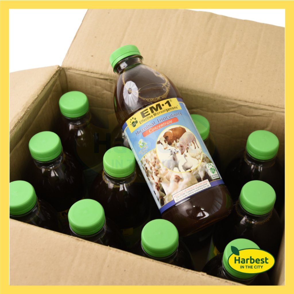 Ph 11134207 7rase m4ik6yxv6prt1c.jpeg