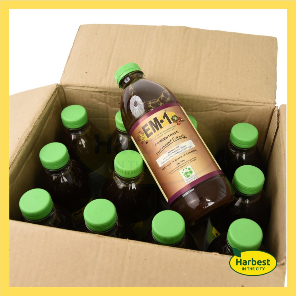 Ph 11134207 7rase m4ik6yxv9iwp25.jpeg