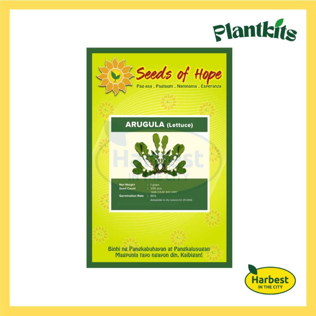 Ph 11134207 7rase m4r99m8b1xix80.jpeg