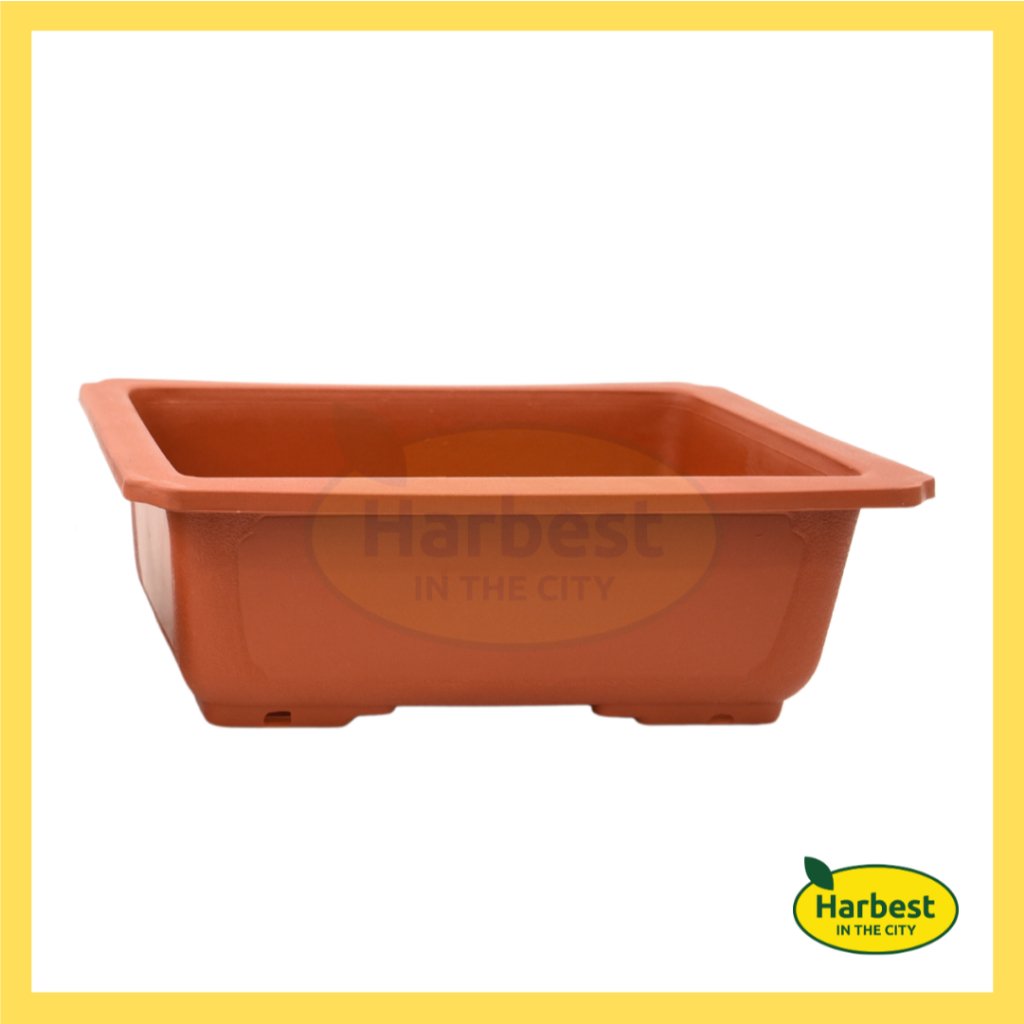 Ph 11134207 7rase m53zb27g6g5fde.jpeg