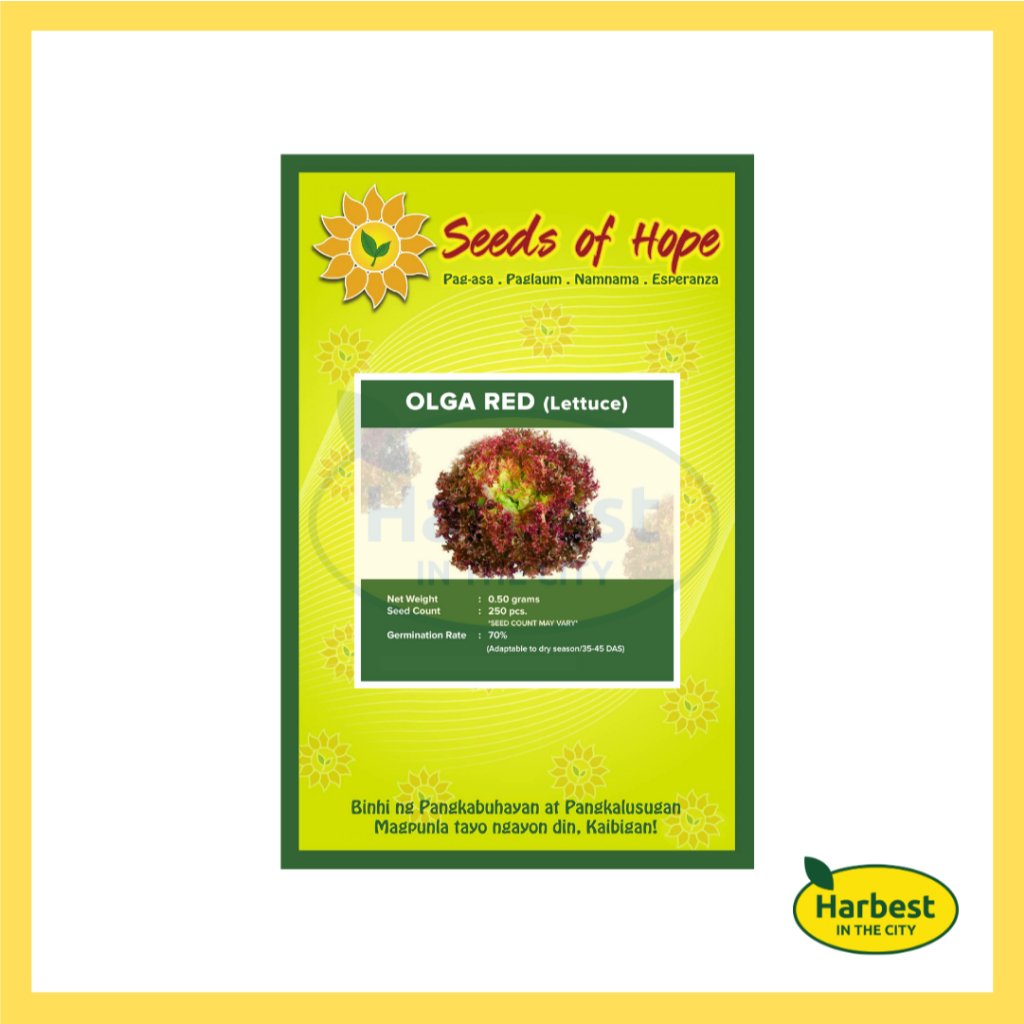 Ph 11134207 7rase m545a5b2z0gq91.jpeg