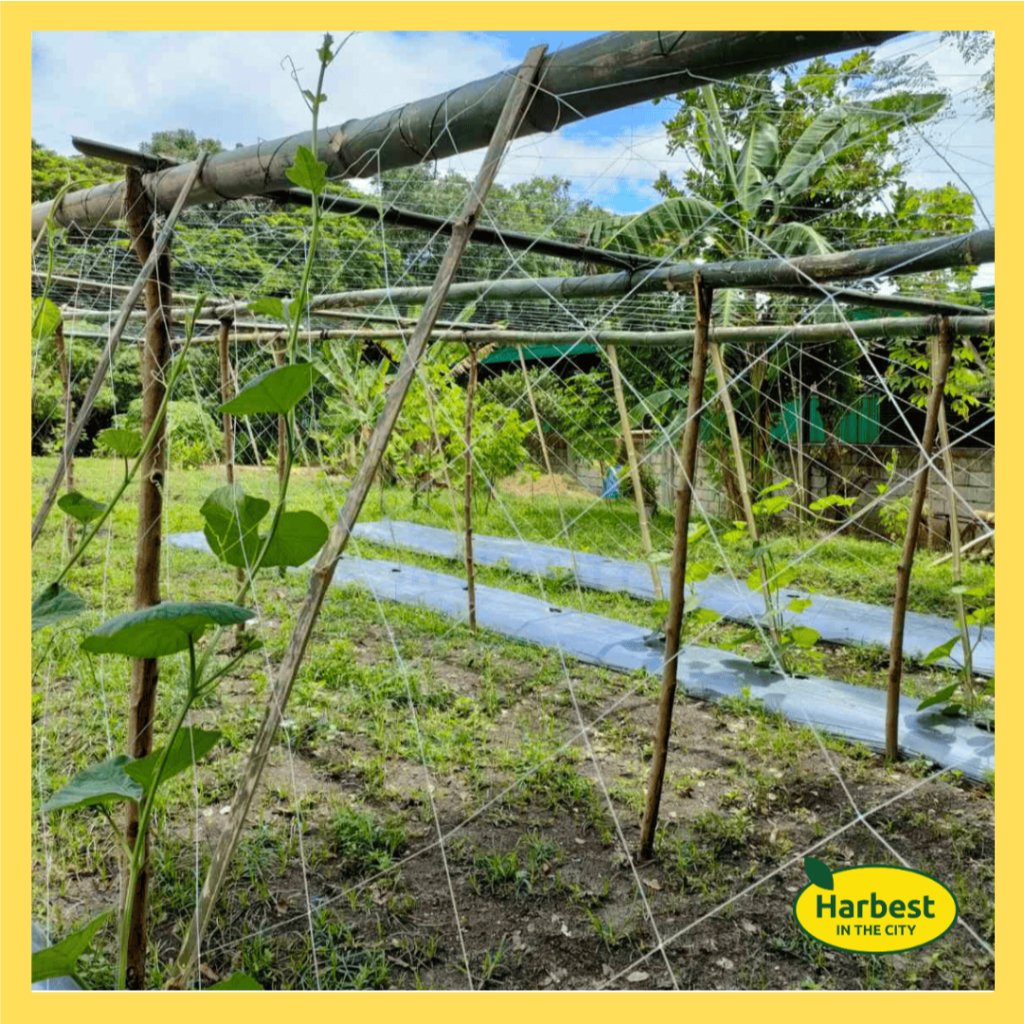 Ph 11134207 7rase m64vmt27e26me4.jpeg