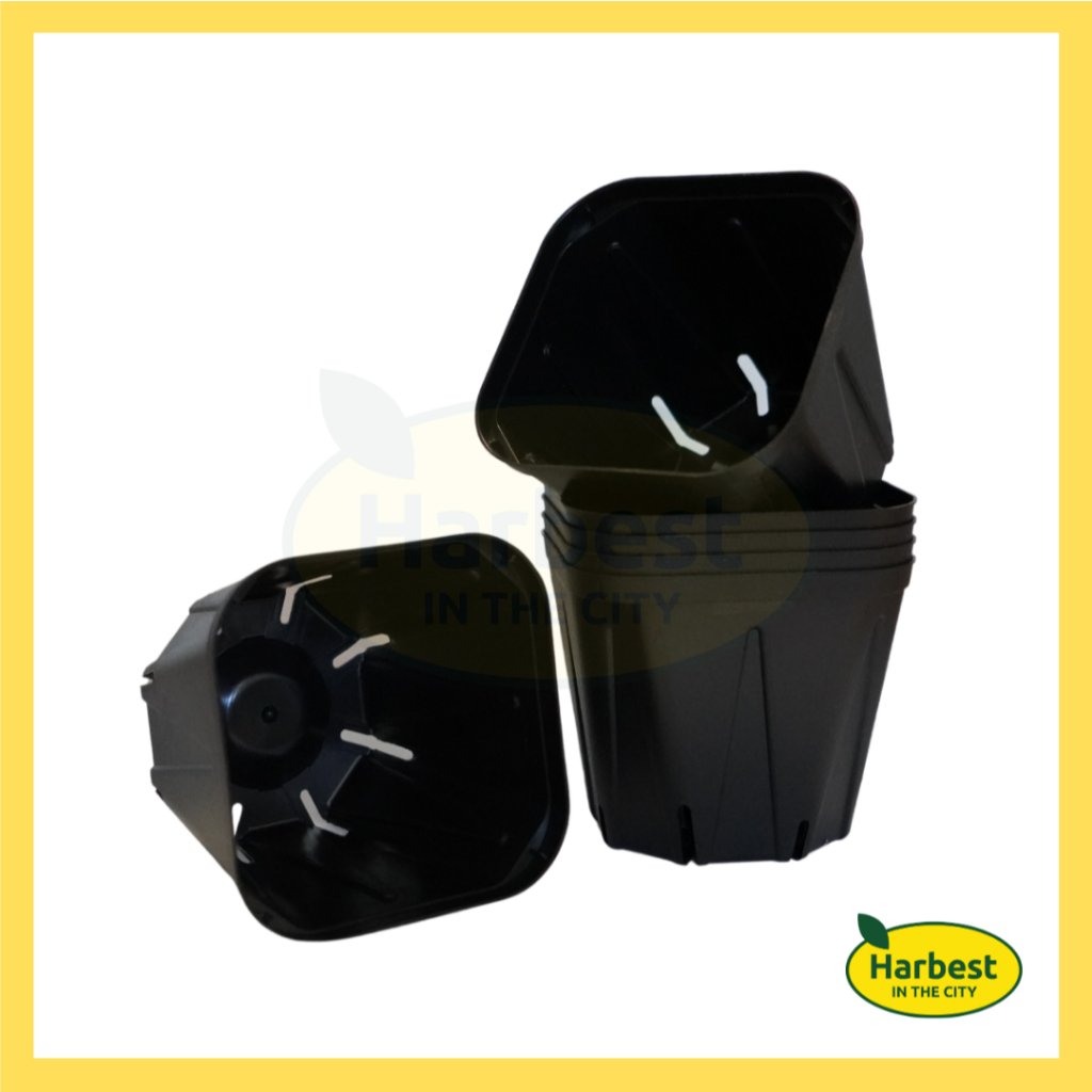 Ph 11134207 7rase m6dql75c6gsi9c.jpeg