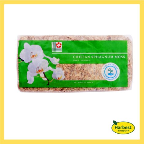 Ph 11134207 7rase m6drenvxwzuq2b.jpeg