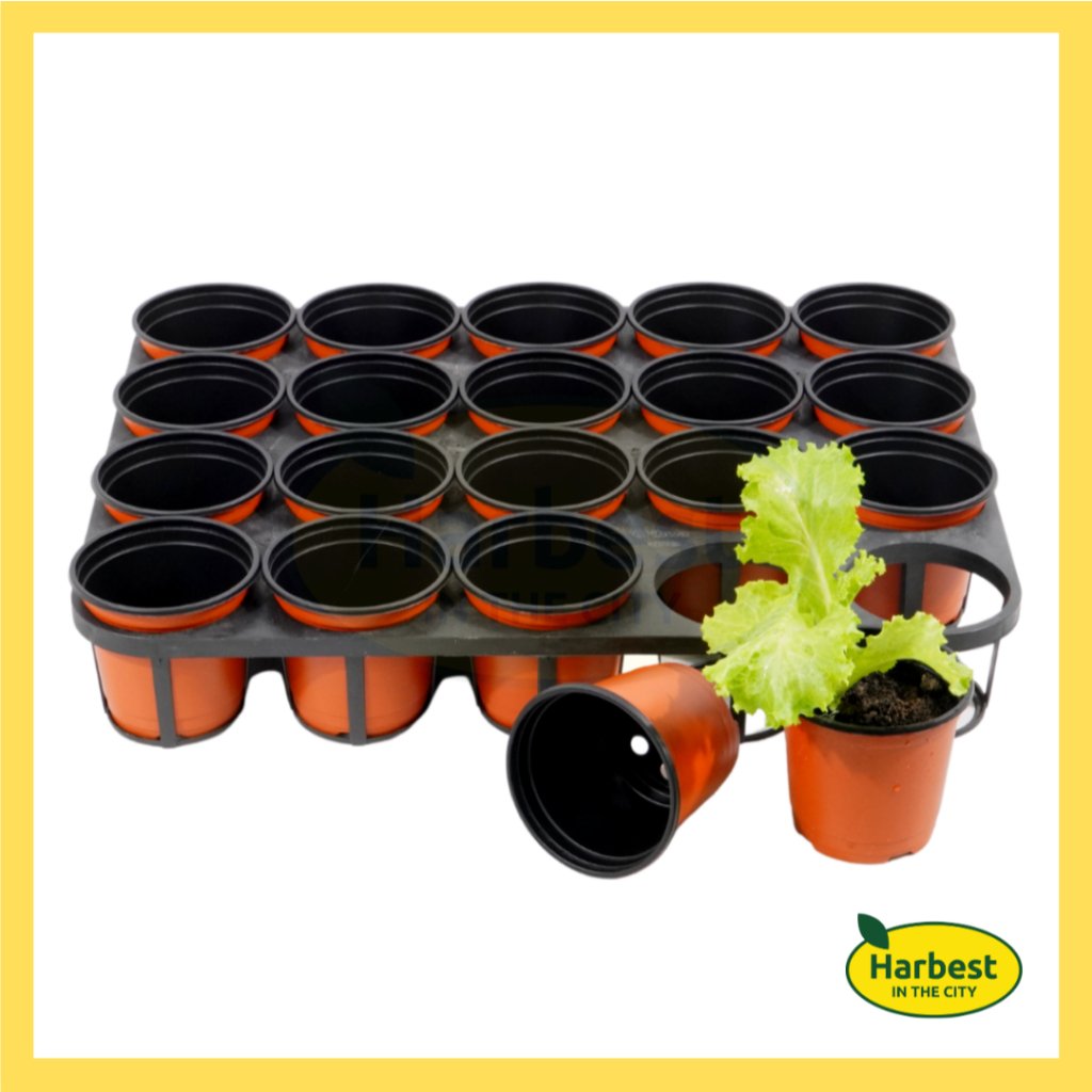 Ph 11134207 7rase m8ee11vvbpu51f.jpeg