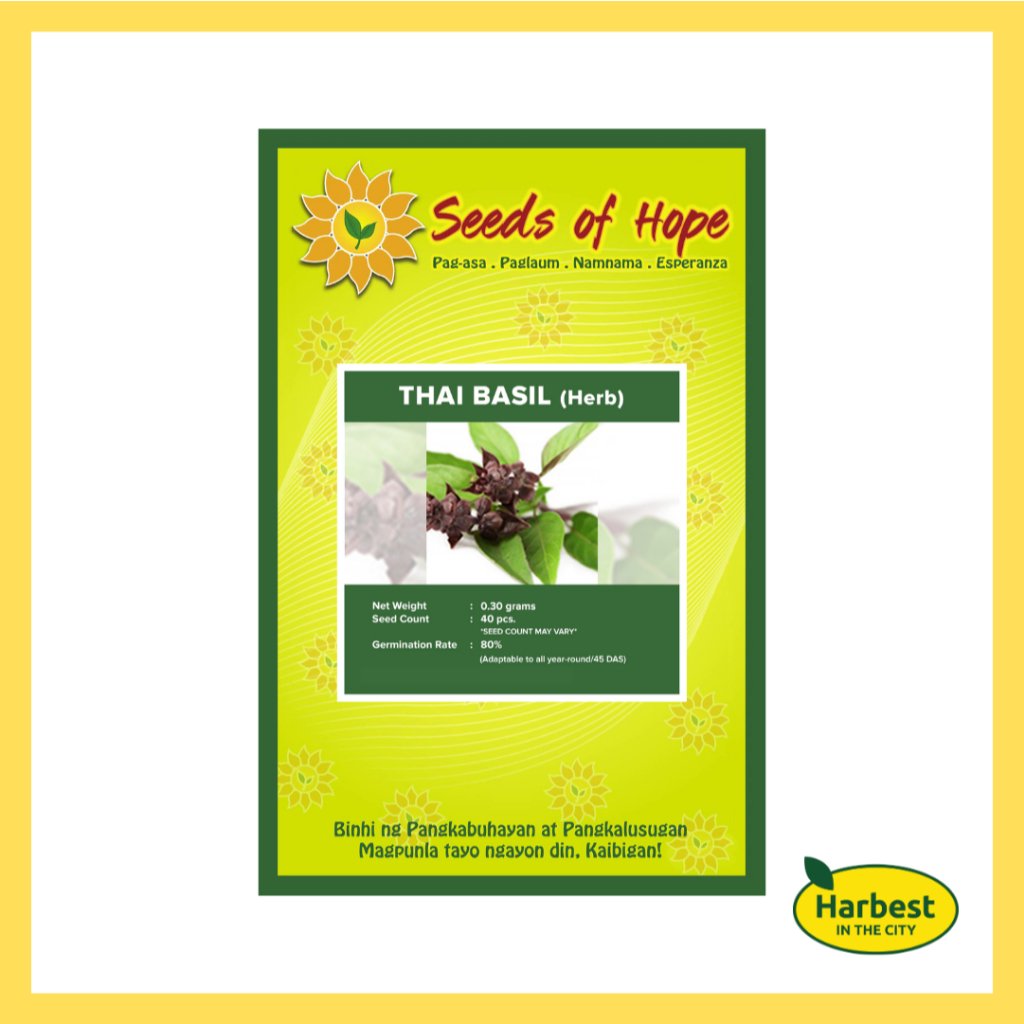 Ph 11134207 7rase m8yib0jg73hd02.jpeg