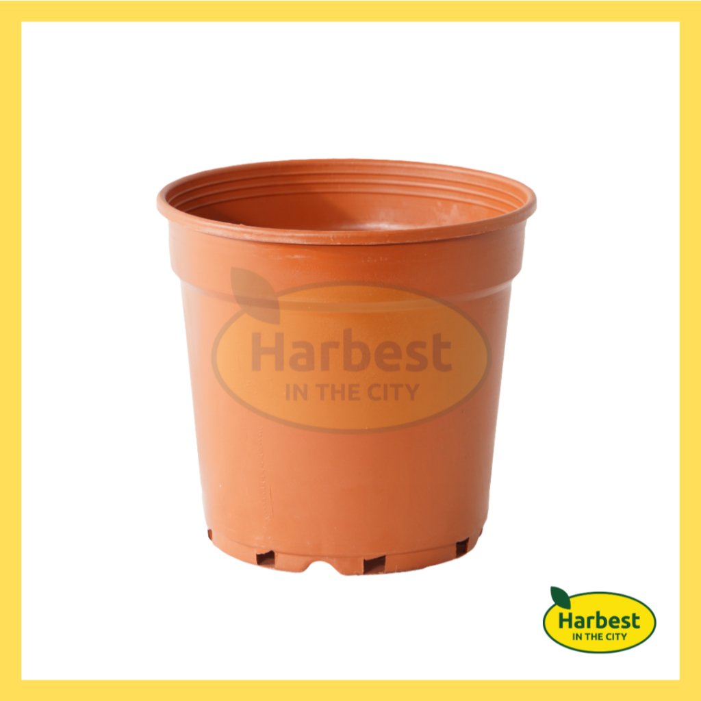 Ph 11134207 7rase m944wjip7uxte8.jpeg